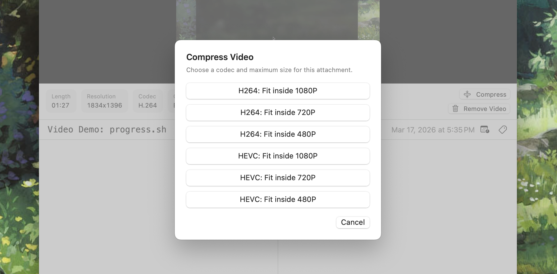 Video Presets